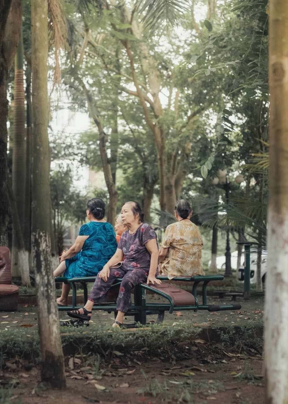 Older women sitting together and chatting in a park